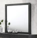 Crown Mark Furniture Pepe Mirror - All Brands Furniture (NJ)