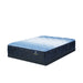 Classic Brecon 13.5" Medium Mattress -Queen